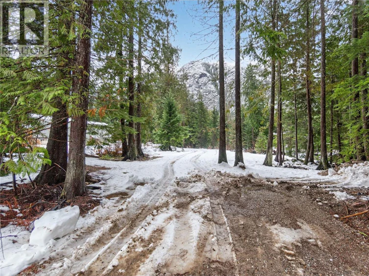 3277 Loschinski Road, Revelstoke, BC, V0E 2S0 - 5