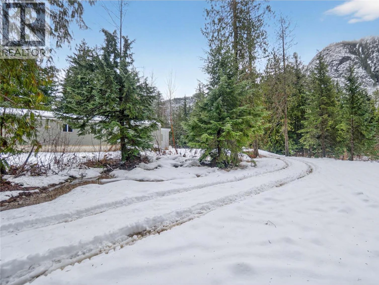 3277 Loschinski Road, Revelstoke, BC, V0E 2S0 - 77