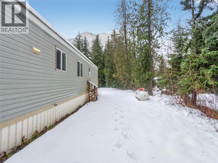 3277 Loschinski Road, Revelstoke, BC, V0E 2S0 - 70