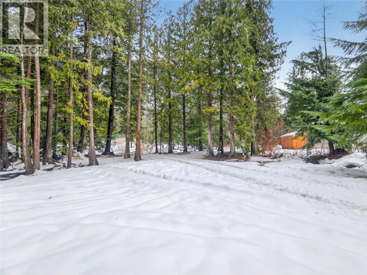 3277 Loschinski Road, Revelstoke, BC, V0E 2S0 - 10