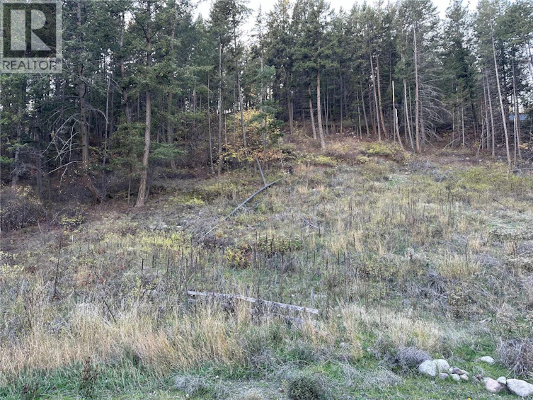 10732 Westshore Road, West Kelowna, BC, V1H 2C2 - 4
