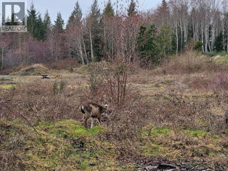 Lot-0 Fernwood Avenue, Powell River, BC, V8A 3L8 - 9