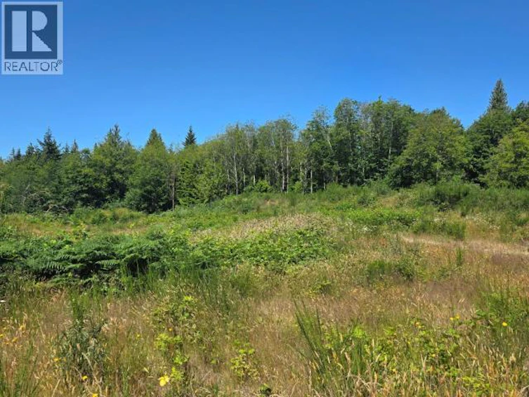 Lot-0 Fernwood Avenue, Powell River, BC, V8A 3L8 - 8