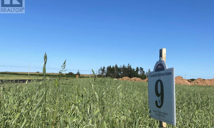 Lot-9 Brianna Cavendish Horizons Street Estates