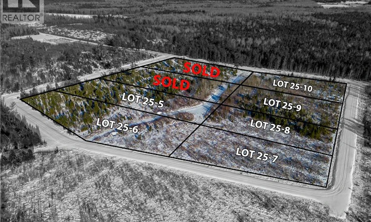 LOT 25-9 Hannay