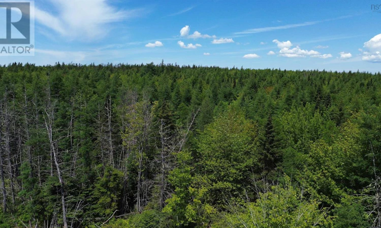Lot-11 Lower River Grantville Road