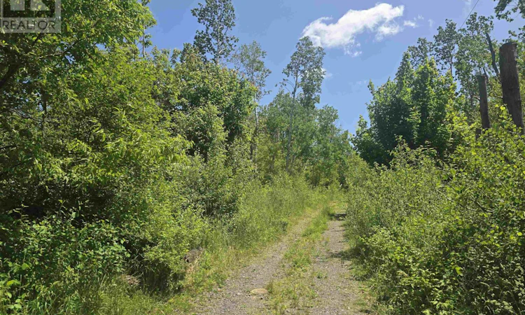 Lot-3 Fourteenth Street