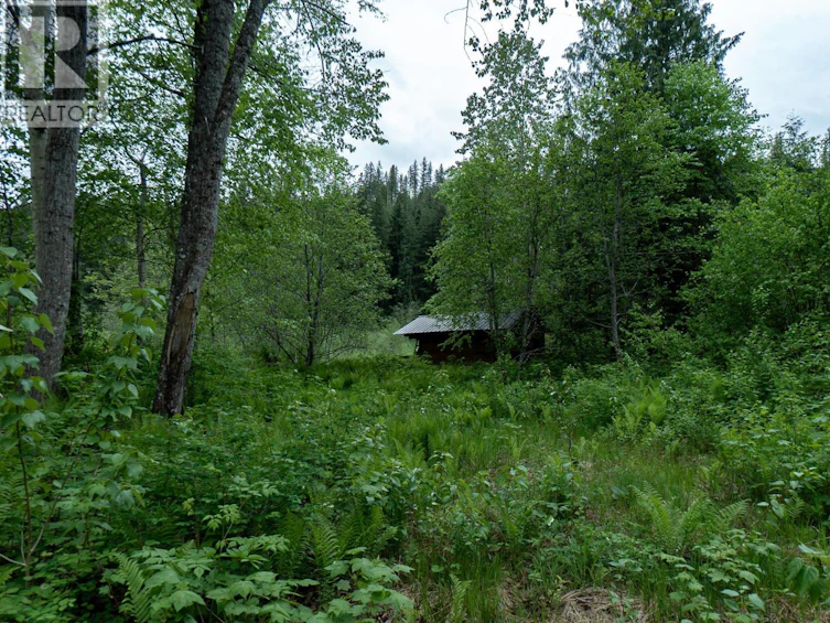 5926 Ferguson Frontage Road, Malakwa, BC, V0E 2J0 - 30