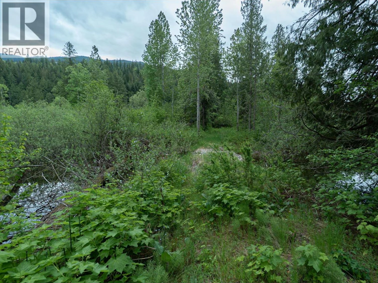 5926 Ferguson Frontage Road, Malakwa, BC, V0E 2J0 - 28