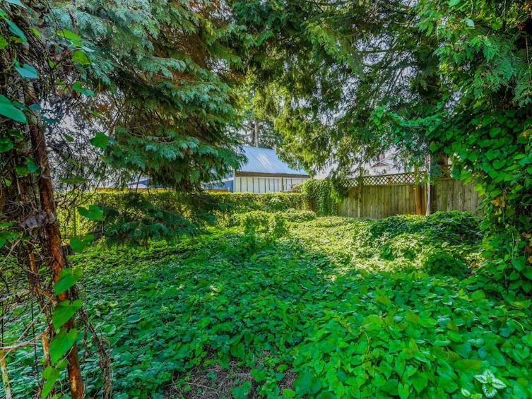 46220 Maple Avenue, Chilliwack, BC, V2P 2J4 - 39