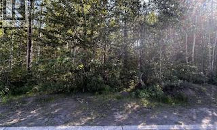 160 Murray Drive