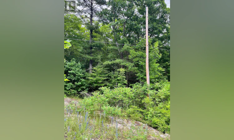 0 (PIN - 40264-0091 Potter Settlement Road