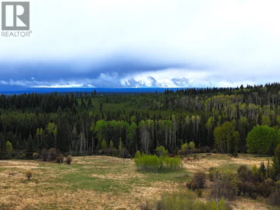 3074 Spout Lake Road - 4
