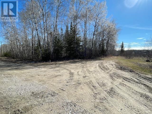 199 Lakeview Road, Dryden, ON, P8N 2Y4