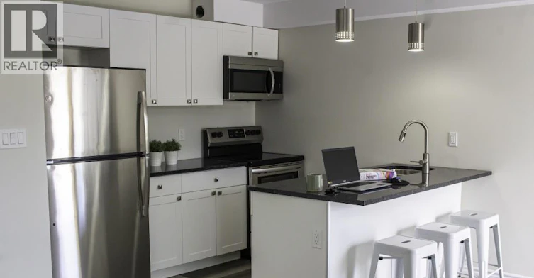 3-717 St. Antoine, Windsor, ON, N9C 3H5 - 9