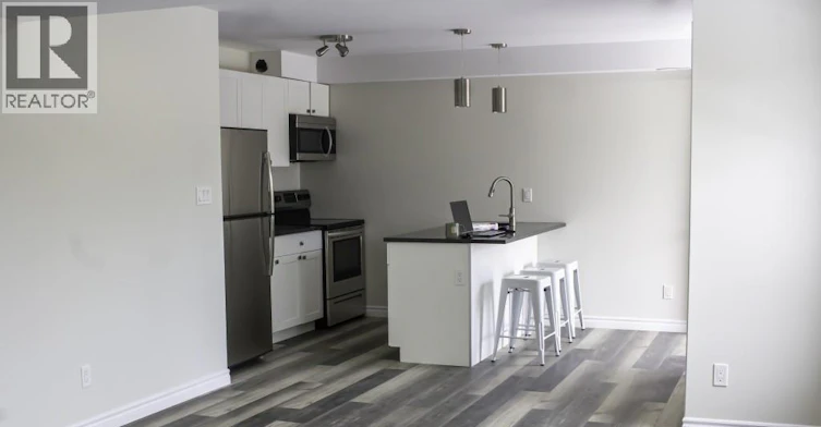 3-717 St. Antoine, Windsor, ON, N9C 3H5 - 7
