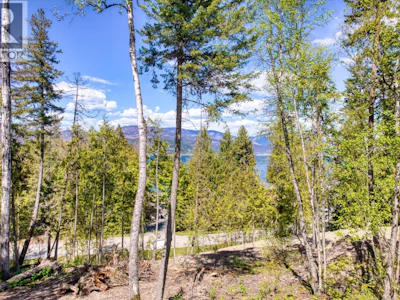 Lot-A Blind Bay Road - 4