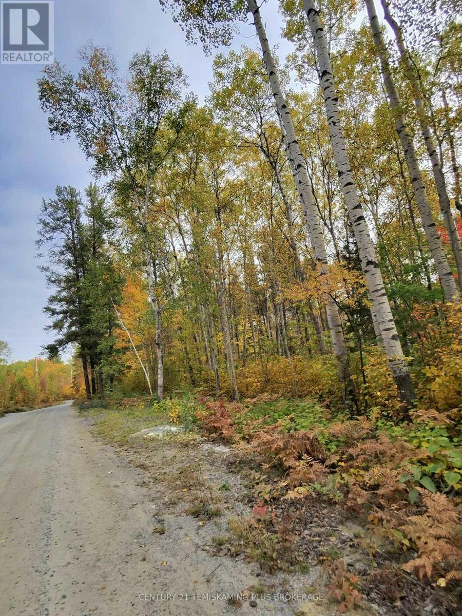 PART-12 Girl Guide Road, Coleman Township, ON, P0J 1C0