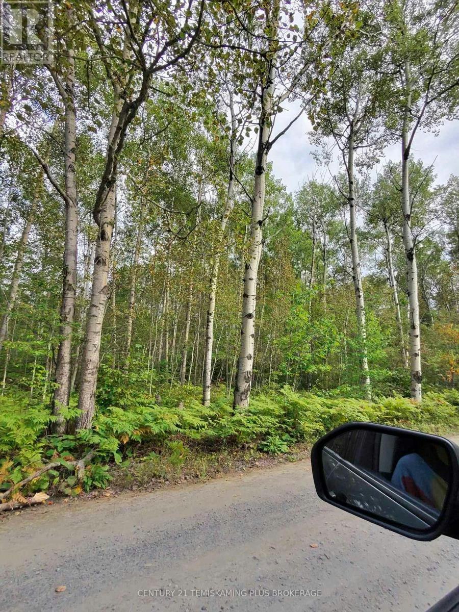PART-13 Girl Guide Road, Coleman Township, ON, P0C 1C0