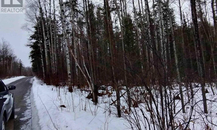 PART-13 Girl Guide Road