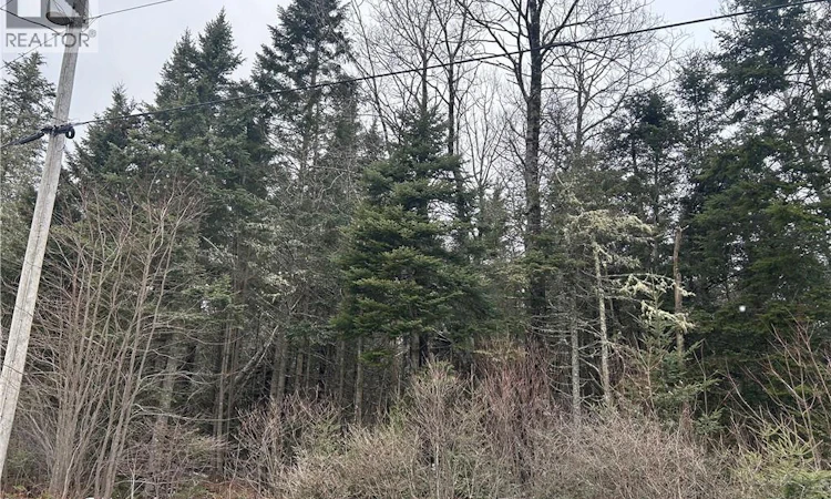 Lot 26-4 Backland