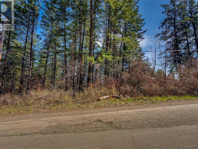 583 Moody Crescent - 4