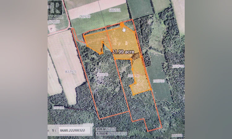 Acreage Glencoe Road