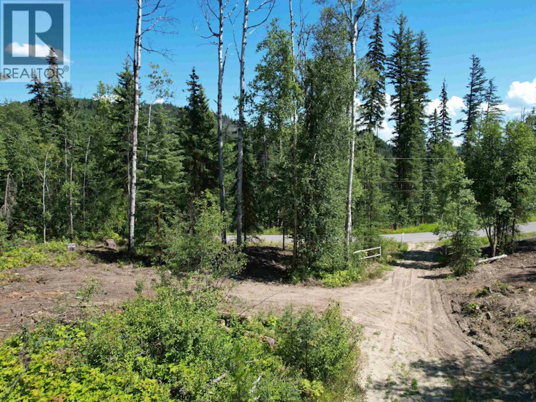 LOT-9 Eagle Creek Road, Canim Lake, BC, V0K 1L0 - 12