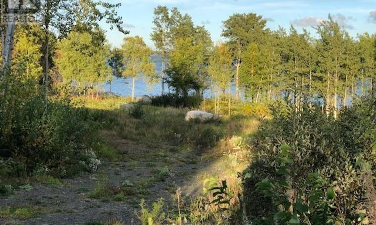 202 Comfort Cove Road