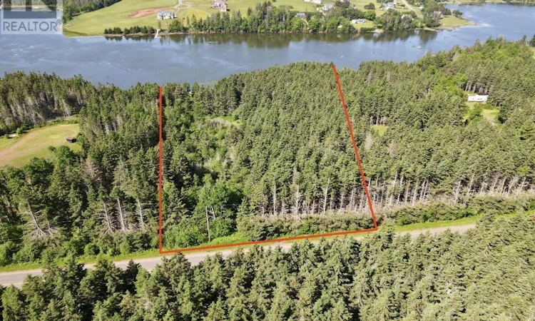 Trout River Road