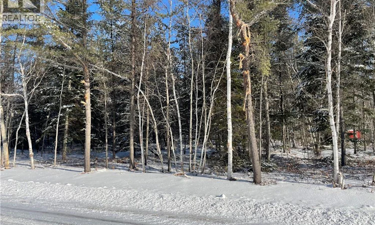Lot 74-17 Honey Street