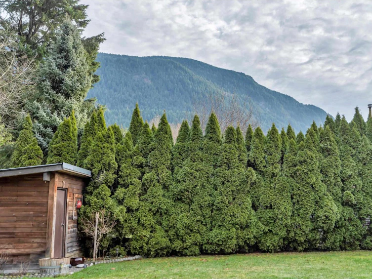 223 Balsam Avenue, Harrison Hot Springs, BC, V0M 1K0 - 39