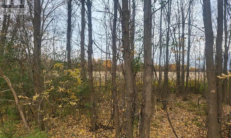 LOT-5 Bush Road