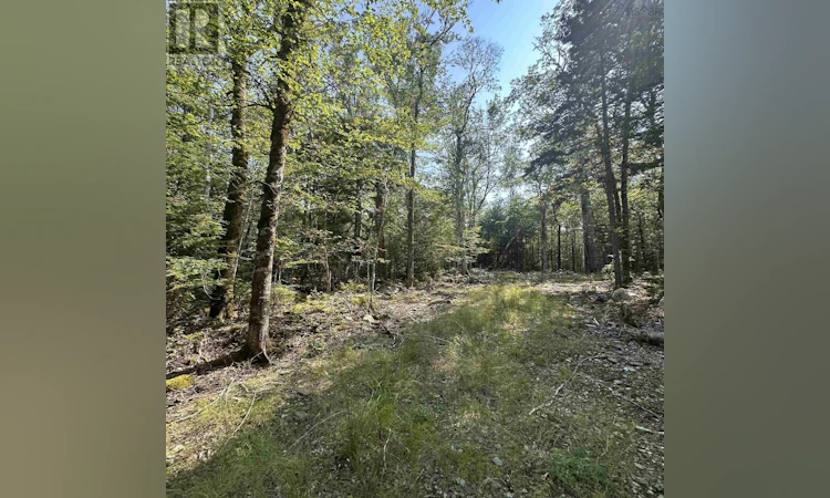 Lot-49 Island View Terrace