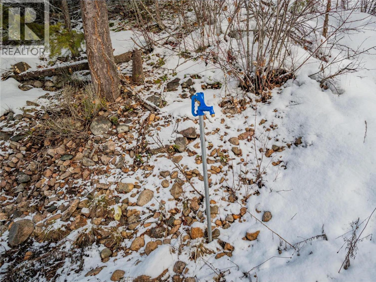 6061 Lot 7 Forest Road, Winlaw, BC, V0G 2J0 - 8