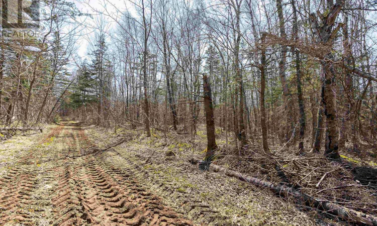 Lot-2 Seaman Street