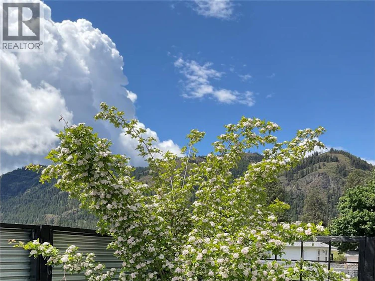 324 Hartland Avenue, Midway, BC, V0H 1M0 - 16
