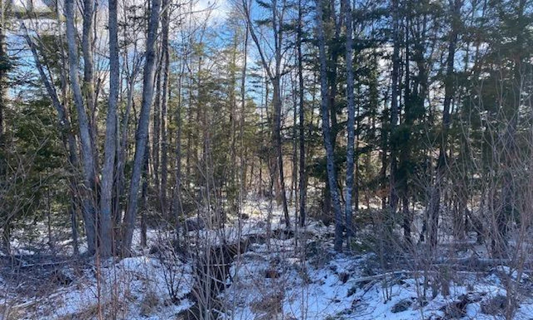 PID-60446457 Newburne Road