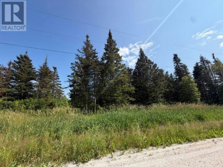 5 Meadow Brook Rd Ext, Reidville, NL, A8A 0B4