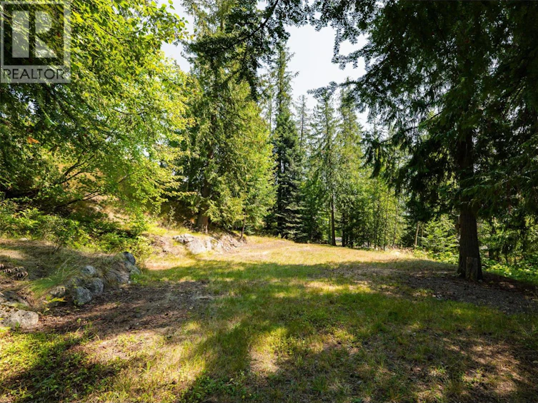 6814 Marian Lane, Nelson, BC, V1L 6S2 - 17