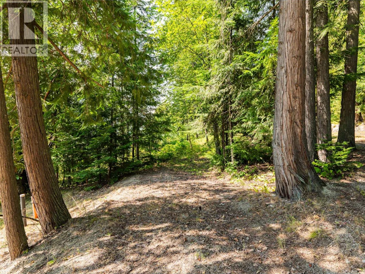 6814 Marian Lane, Nelson, BC, V1L 6S2 - 22