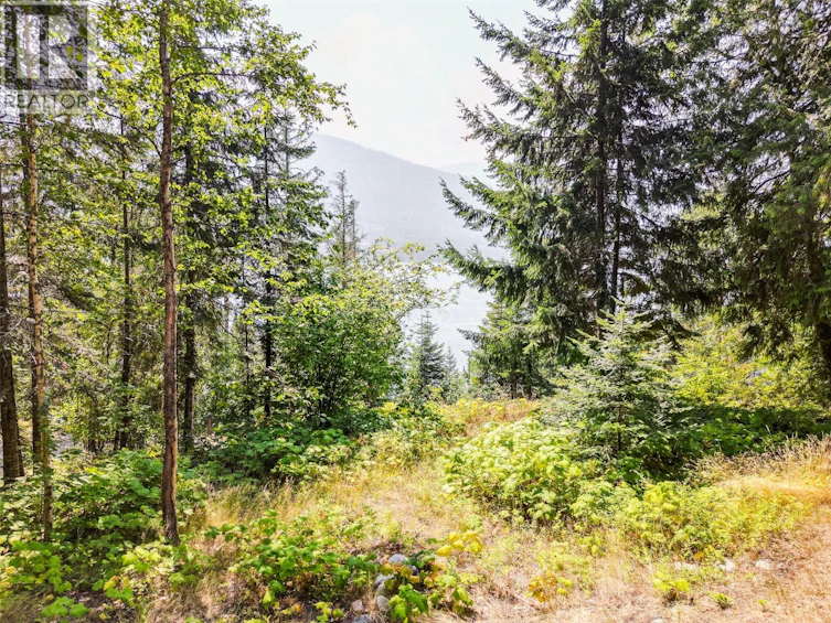 6814 Marian Lane, Nelson, BC, V1L 6S2 - 6
