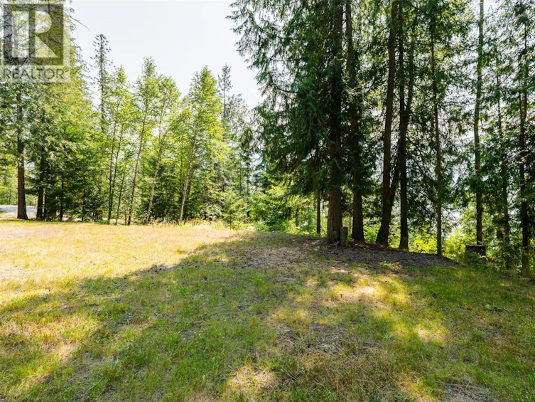 6814 Marian Lane, Nelson, BC, V1L 6S2 - 18