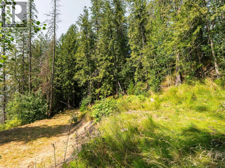 6802 Marian Lane, Nelson, BC, V1L 6S2 - 15