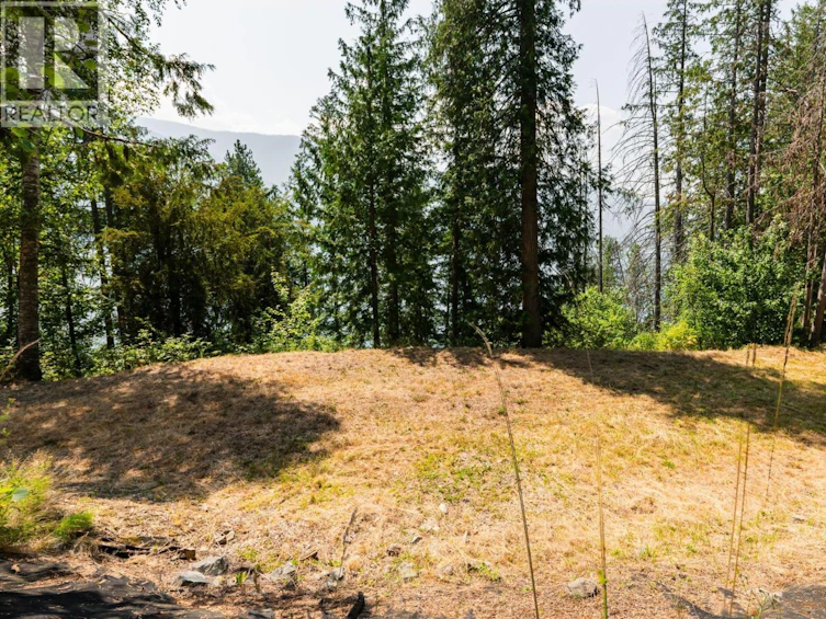 6802 Marian Lane, Nelson, BC, V1L 6S2 - 29