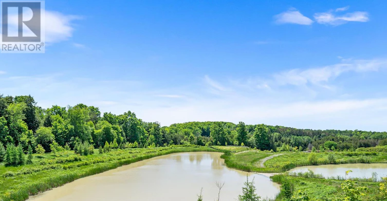 261 Seaview Heights, East Gwillimbury, ON, L9N 0Z1 - 17