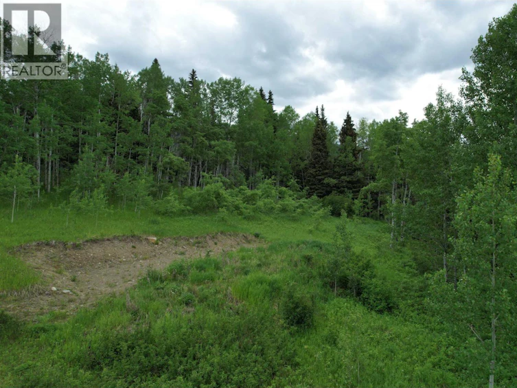 LOT-15 Mccarthy Road, Bridge Lake, BC, V0K 1X2 - 6