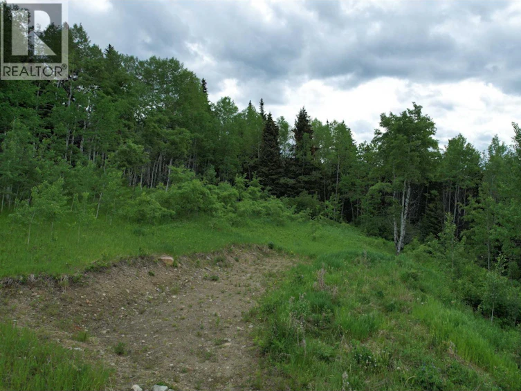 LOT-15 Mccarthy Road, Bridge Lake, BC, V0K 1X2 - 7