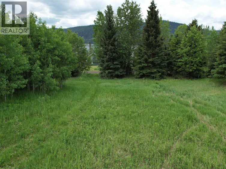LOT-15 Mccarthy Road, Bridge Lake, BC, V0K 1X2 - 20