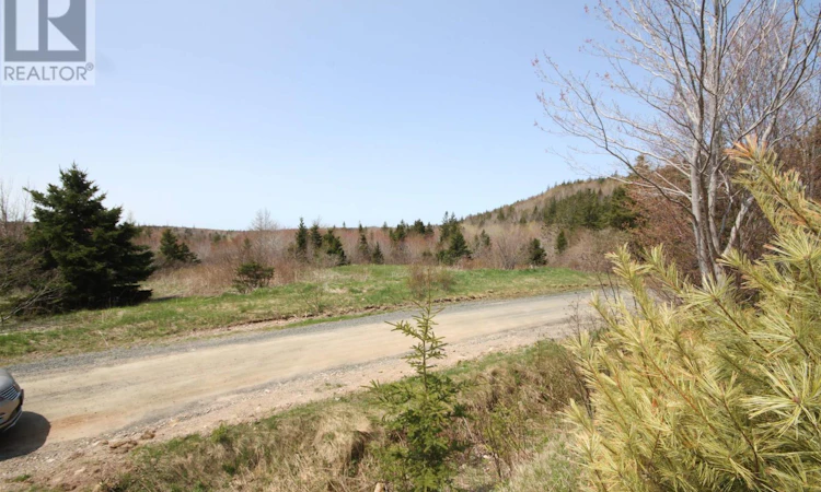Lot-1 River Denys Mountain Road